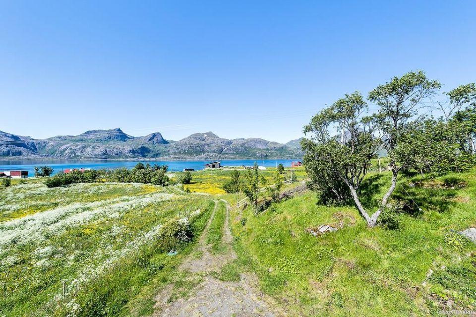 Vevika Lofoten Villa Gravdal  Eksteriør bilde