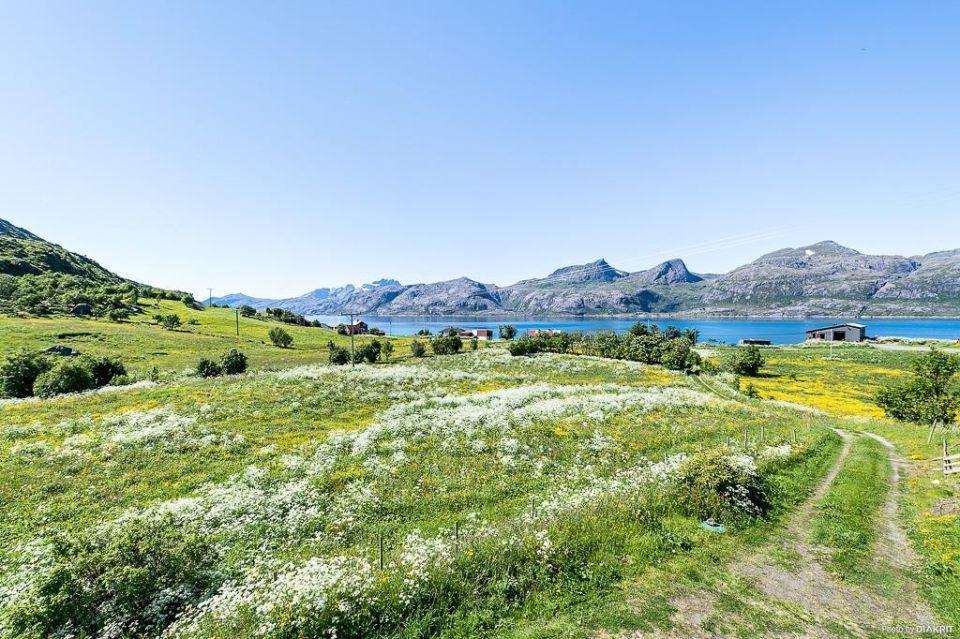 Vevika Lofoten Villa Gravdal  Eksteriør bilde