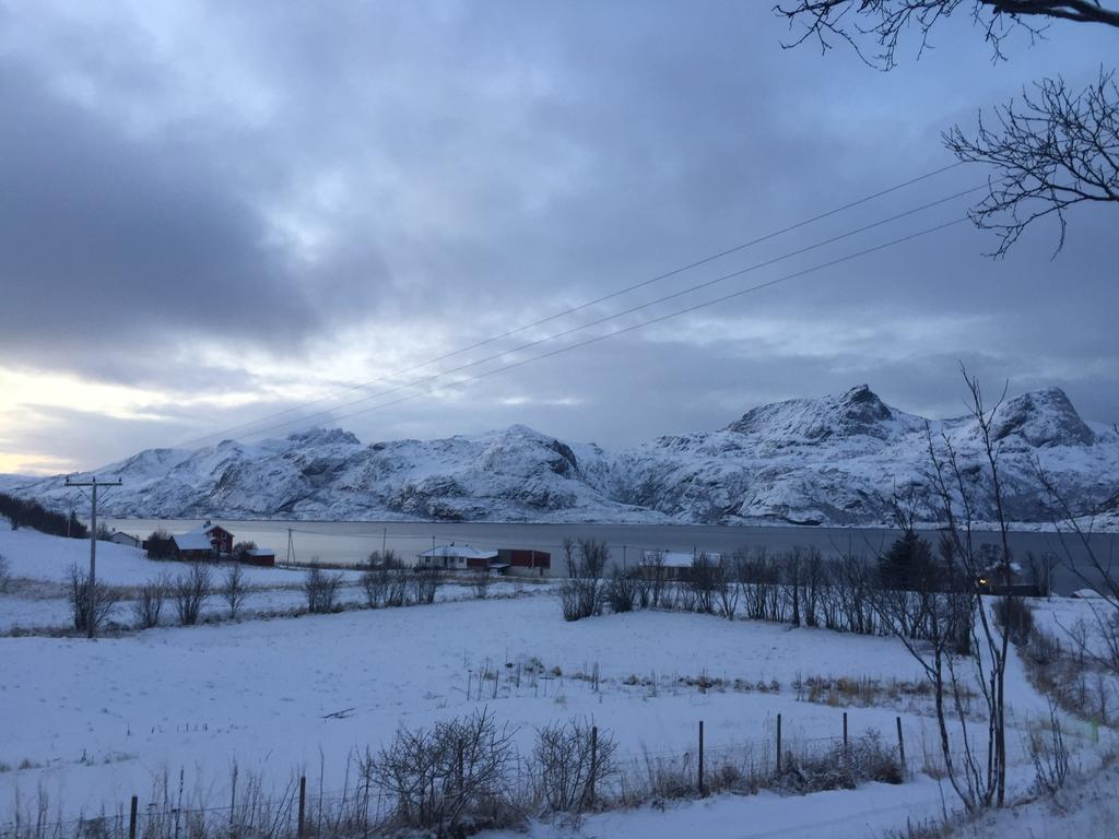 Vevika Lofoten Villa Gravdal  Eksteriør bilde