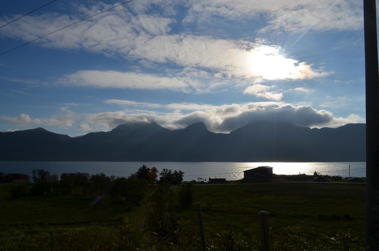 Vevika Lofoten Villa Gravdal  Eksteriør bilde